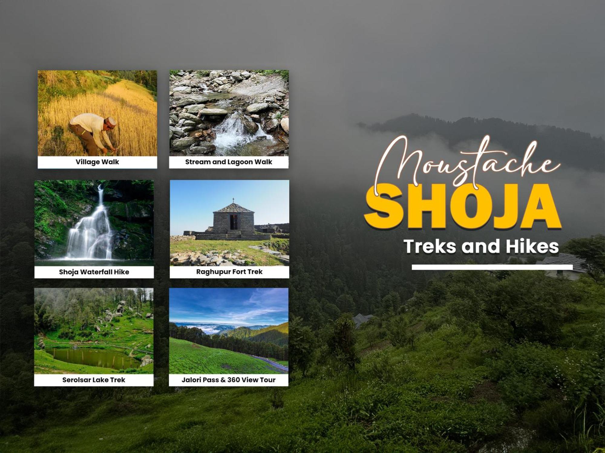 Moustache Shoja, Jibhi Hostel Екстериор снимка